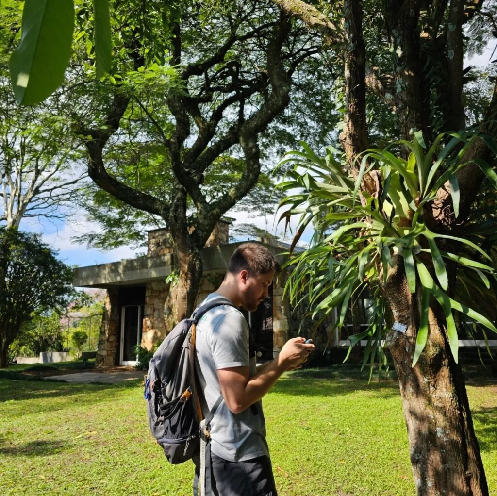 levantamento arbóreo, cadastramento arbóreo, inventário florestal, levantamento de árvores